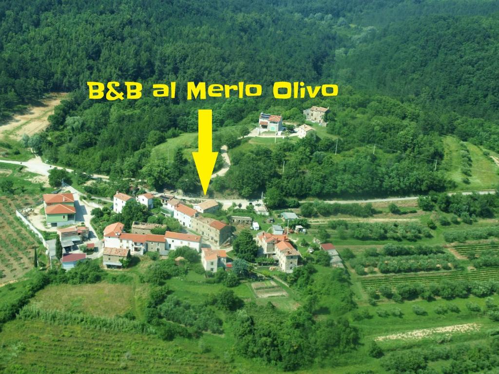 Vista aerea di Al Merlo Olivo tra il verde dell'Istria